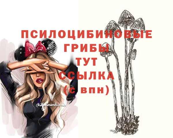 таблы Нея