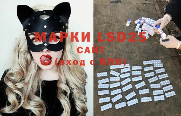 эйфоретик Бикин